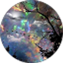 Profile photo of Michelle Simpson