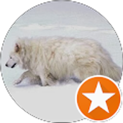 Profile photo of brandon kitsmiller