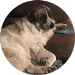 Profile photo of Rick