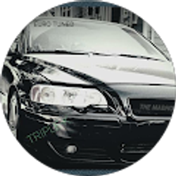 Profile photo of ALEXANDER Goudy