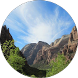 Profile photo of Melanie Palmer