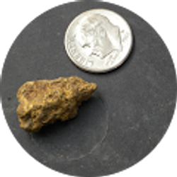 Profile photo of D. Gary Greenman