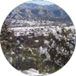 Profile photo of Andrea Warner