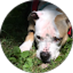 Profile photo of Sara Bolewicki