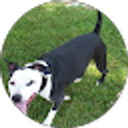 Profile photo of Debbie Buford