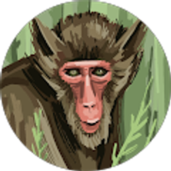 Profile photo of sheng david