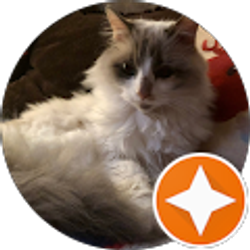 Profile photo of Loraine Marie