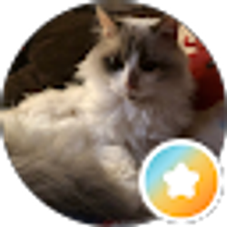 Profile photo of Loraine Marie