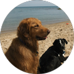 Profile photo of J. Swinning