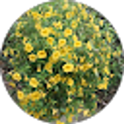 Profile photo of Rita