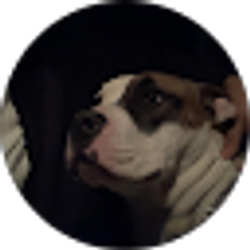 Profile photo of Diego Rubio
