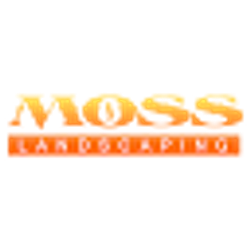 Profile photo of Steve Moss