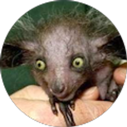 Profile photo of Susan Pletcher