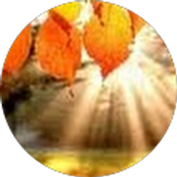 Profile photo of Michelle Pan