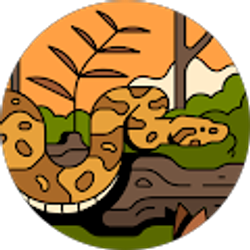 Profile photo of Abril