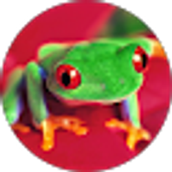 Profile photo of Rebecca Vega