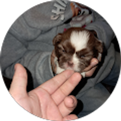 Profile photo of Tamya Thomas