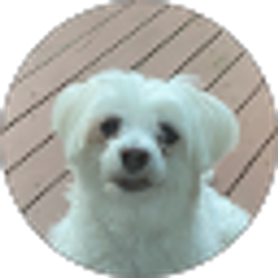 Profile photo of Ethan Hong