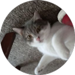 Profile photo of Gary Friedrick