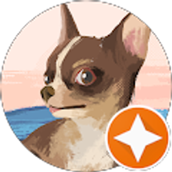 Profile photo of Michele Black