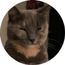 Profile photo of Kennedy