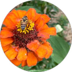 Profile photo of Deborah