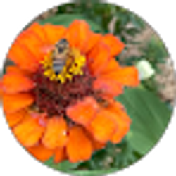 Profile photo of Deborah