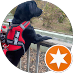 Profile photo of Travis Rob-Boss (Boss)