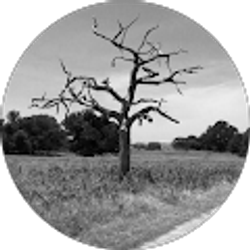 Profile photo of j watts