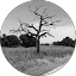 Profile photo of j watts