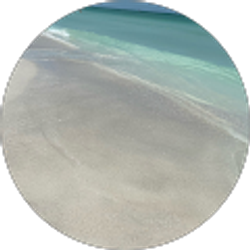 Profile photo of Ravi Mohan