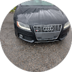 Profile photo of shaveta white