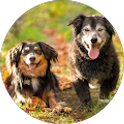 Profile photo of Kelly Dione