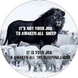 Profile photo of junebug P