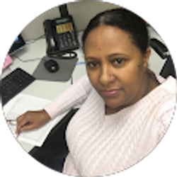 Profile photo of Meseret Fitawek