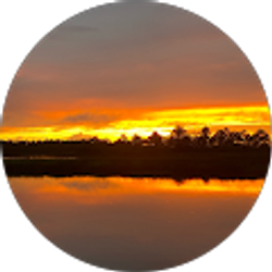 Profile photo of Emily Shafer