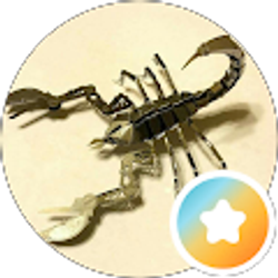 Profile photo of Scorp Sting