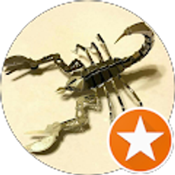 Profile photo of Scorp Sting