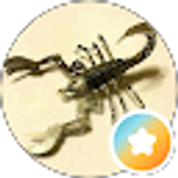 Profile photo of Scorp Sting