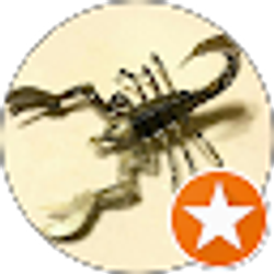 Profile photo of Scorp Sting