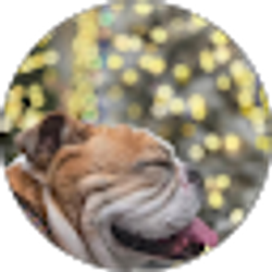 Profile photo of Jay Dreamer