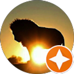 Profile photo of Simon Johnson