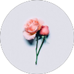 Profile photo of Jasmin Cruz