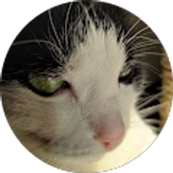 Profile photo of Rustam Suleymanov