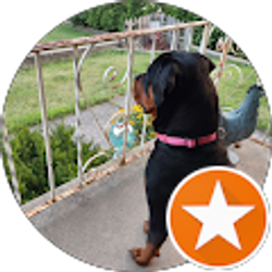 Profile photo of Walter Witzke