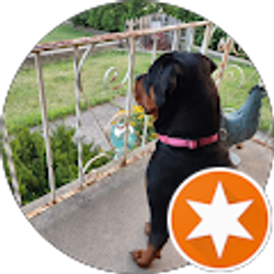 Profile photo of Walter Witzke