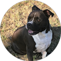 Profile photo of Lisa StClair