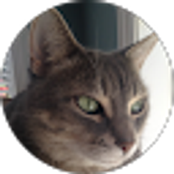 Profile photo of Karolina