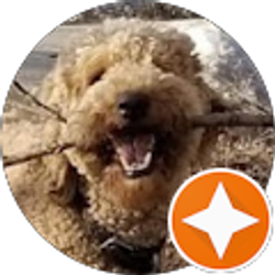 Profile photo of Zachary Ross