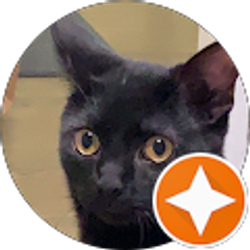 Profile photo of luis santos